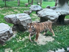 -北京野生动物园