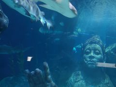 -暹罗海洋世界