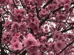 -白塘生态植物园