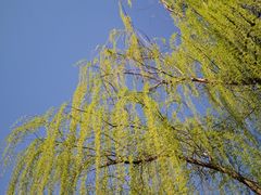 -鹦鹉寺公园