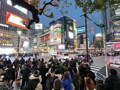 -涩谷全向十字路口