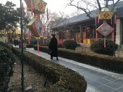 -白家大院·王府宫廷菜(苏州街店)