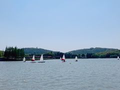 -上海月湖雕塑公园