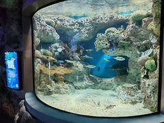 -福州罗源湾海洋世界旅游区