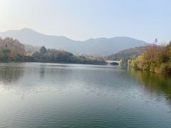 -杭州半山国家森林公园