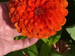 -长春公园(普阳街道)