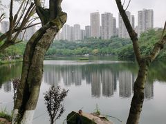 -重庆彩云湖湿地公园