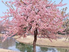 -上海辰山植物园