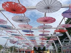 -长洲岛都市农业公园