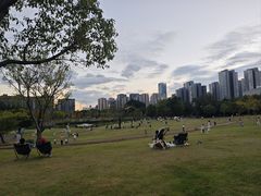 -牛岗山公园
