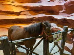 -酷嗒动物文化乐园(cutezoo西溪乐天城店)