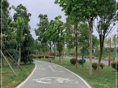 -洨河生态公园