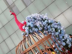 -重庆市江北嘴中央商务区中央公园