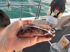 -小猫钓鱼海钓俱乐部(椰梦长廊店)