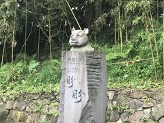 -都江堰中华大熊猫苑