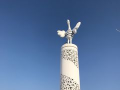 -丁香湖公园