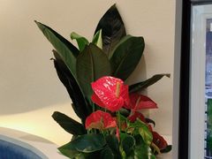 -兰湘子·湘菜小炒(盛龙广场店)