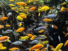 -太平洋海底世界