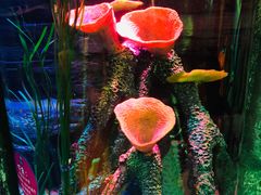 -沈阳海洋探索中心