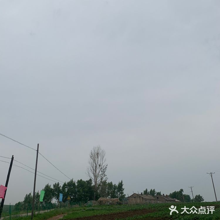 又到了采摘菜类的季节 为了食品安全 今年选择了小溪菜