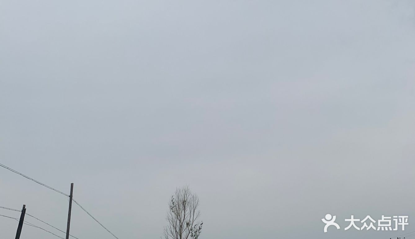 又到了采摘菜类的季节 为了食品安全 今年选择了小溪菜