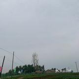 又到了采摘菜类的季节 为了食品安全 今年选择了小溪菜