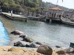 -广东惠东海龟国家级自然保护区