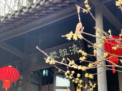 -南山风景名胜区