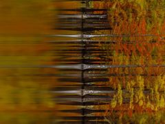 -白鹭湾湿地公园