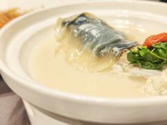 东坡河豚-肆月河豚·新淮扬(金融街店)