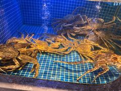 -味钱塘·钱塘浙宴(宋城之江银泰店)