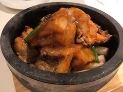 石锅烧石斑-利苑酒家(金宝店)