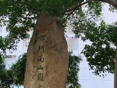 -南山图书馆(常兴路店)