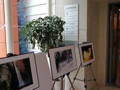 -上海市虹口区青少年活动中心(欧阳路)