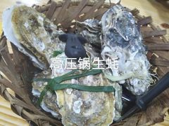-星记小馆·小蓝龙·老南京砂锅菜(上海路店)
