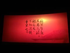 -SFC上影影城(北京大兴龙湖天街IMAX店)