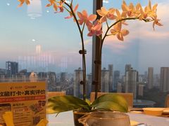 -安乐茶饭·手工素菜·高空景观餐厅(千灯湖店)