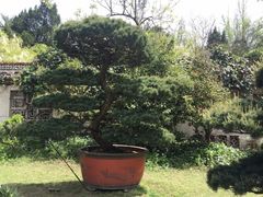 -水绘园