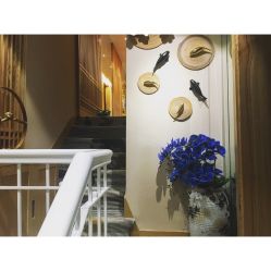 -一本X目奈子日式单根美睫专业店