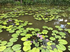 -广州莲花山旅游区