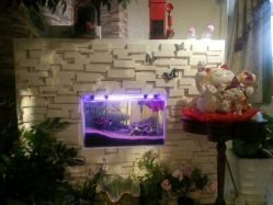 picture-克丽缇娜