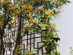 -三林本帮馆(中林街店)