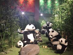 -成都泰迪熊博物馆