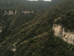 -黄花溪