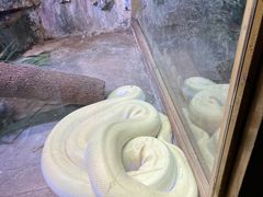-上海大自然野生昆虫馆(东方明珠·爬宠昆虫探索中心)