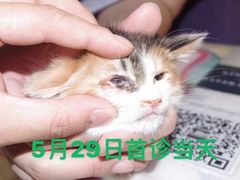 -萌兽医馆·犬猫专科·眼科中心·宠物医院(朝阳门分院)