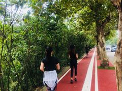 -三圣花乡旅游区