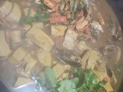 黄丫头烧豆腐-虾恋蛤蟆功