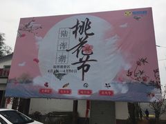-铁军鲜羊肉汤