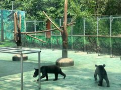 -西安秦岭野生动物园